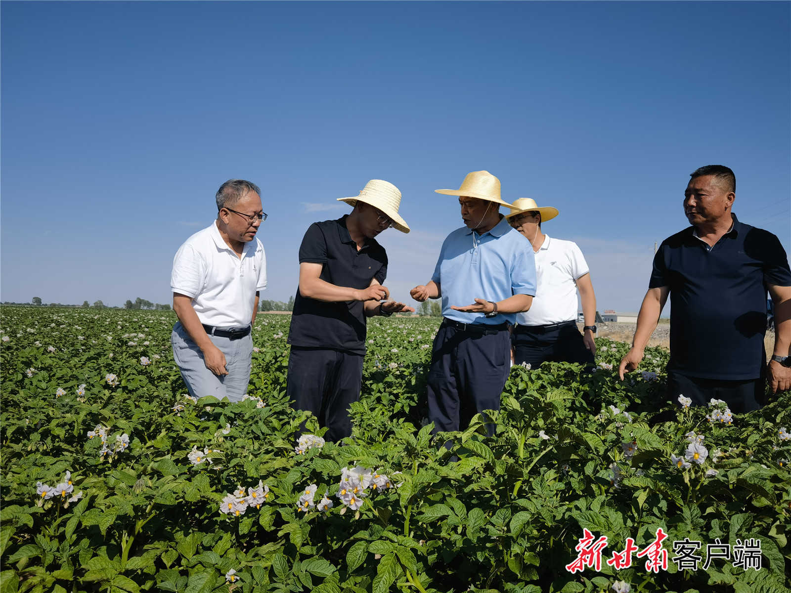 专家查看全生物降解地膜