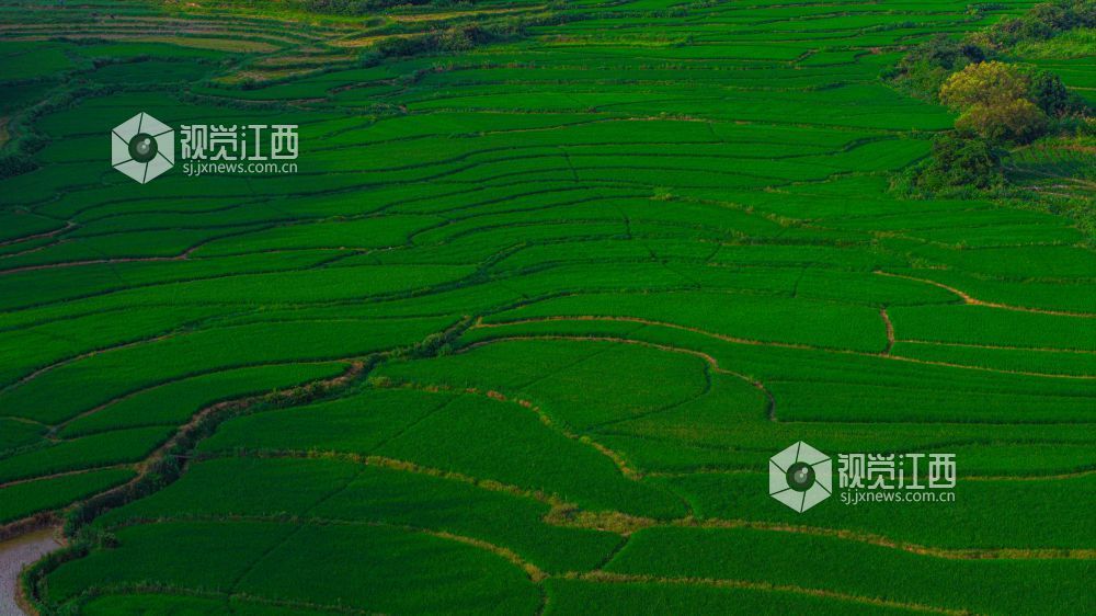 2025年7月15日在江西省吉安市峡江县覆箱峰拍摄的画面。