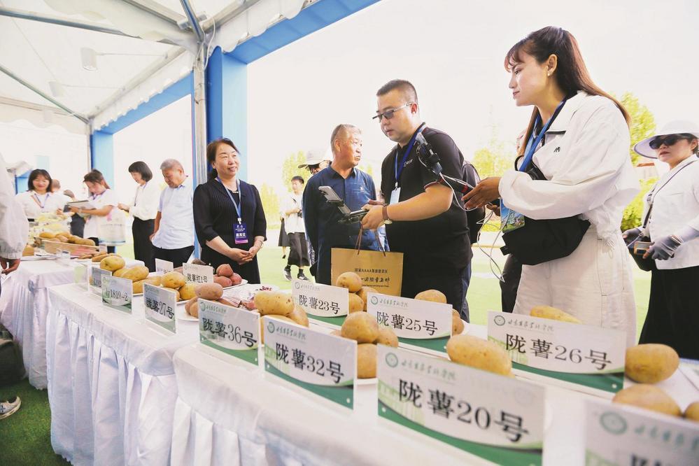 七月二十二日，与会嘉宾在马铃薯产品展示区观看各品种马铃薯。新华社发（王克贤　摄）