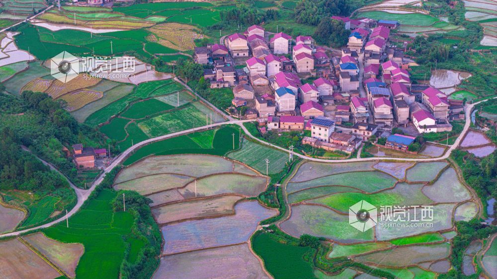 2025年7月15日在江西省吉安市峡江县覆箱峰拍摄的画面。