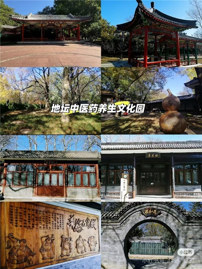 点击查看原始图片