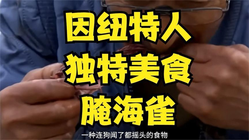 因纽特人发明的独特美食腌海雀，吃上一口几乎能原地升天