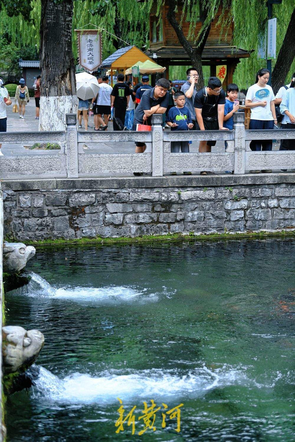 一年四季 泉在济南丨“三伏天”来了 入伏首日游客济南泉畔纳凉