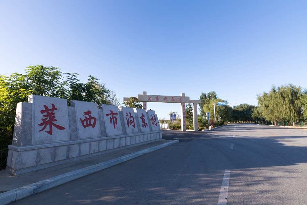 青岛乡里乡亲|日庄镇沟东新村:文明乡风激活乡村振兴“一池春水”