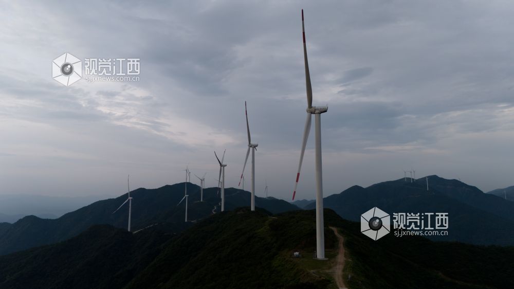 雨后的江西石城八卦脑高山草甸，草叶上挂着晶莹水珠，如同绿色绒毯铺展。远处山峦在薄雾中若隐若现，尽显夏日雨后清新与朦胧之美。