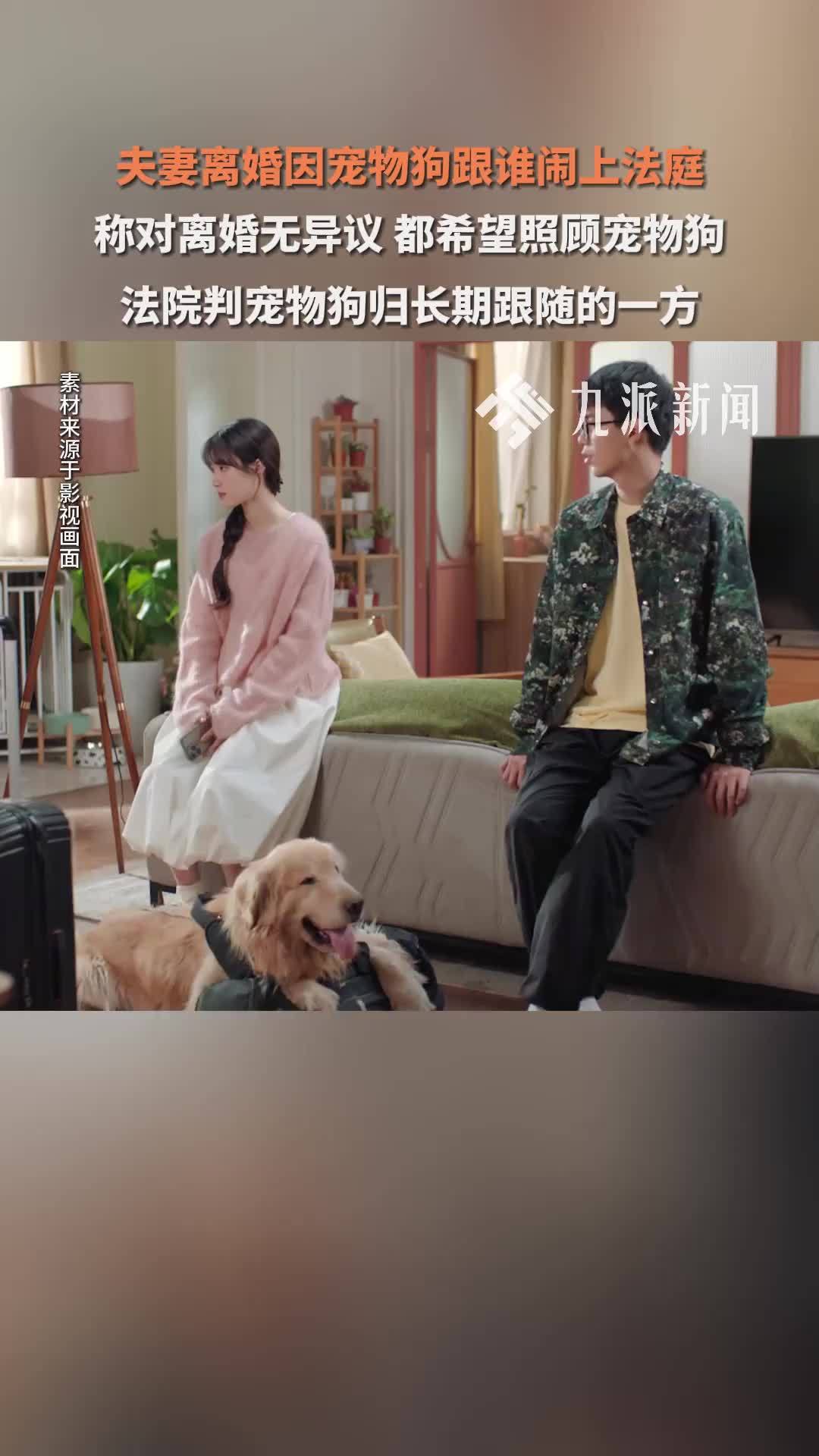 夫妻离婚因宠物狗跟谁闹上法庭，称对离婚无异议，法院判了