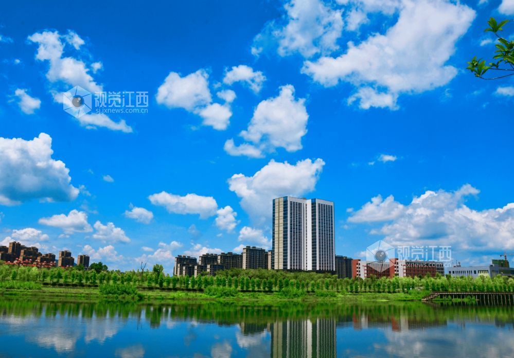 7月24日,江西省永新县迎来了一个碧空如洗的好天气,湛蓝色的天幕上,棉花糖般的云朵肆意舒展。