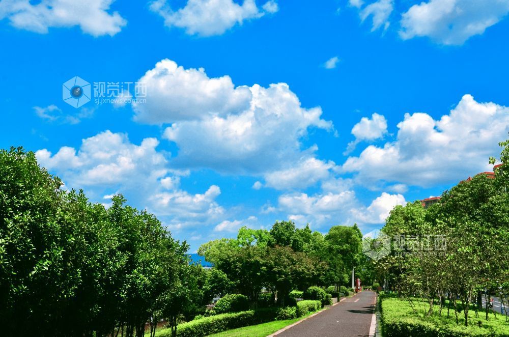 7月24日,江西省永新县迎来了一个碧空如洗的好天气,湛蓝色的天幕上,棉花糖般的云朵肆意舒展。