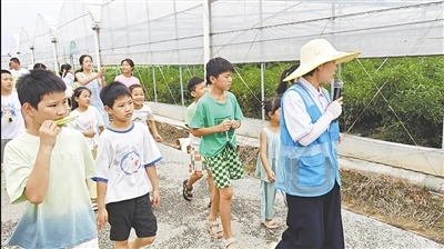 兒童種業研學活動走進江西大家族種業有限公司