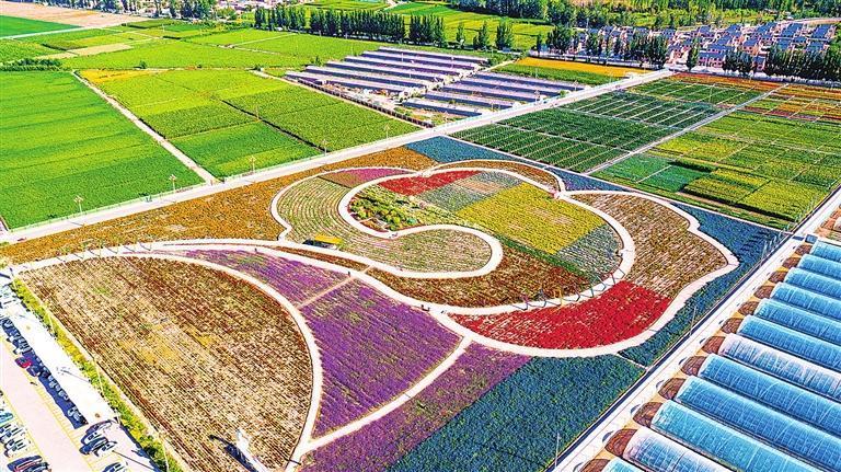 肃州区国家现代农业（种业）产业园核心区　边世文