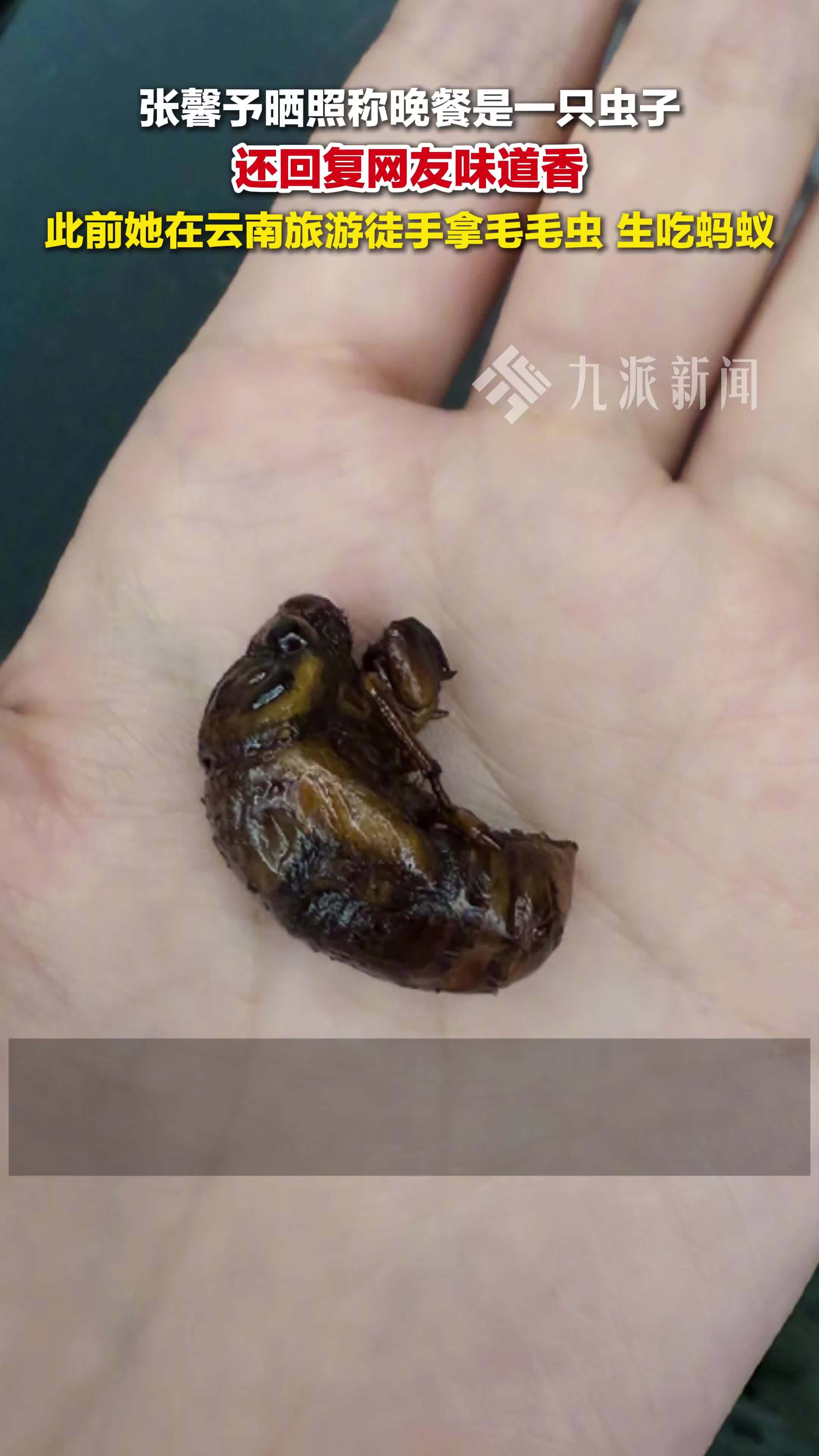 张馨予晒照称晚餐是一只虫子，还在评论区网友味道香