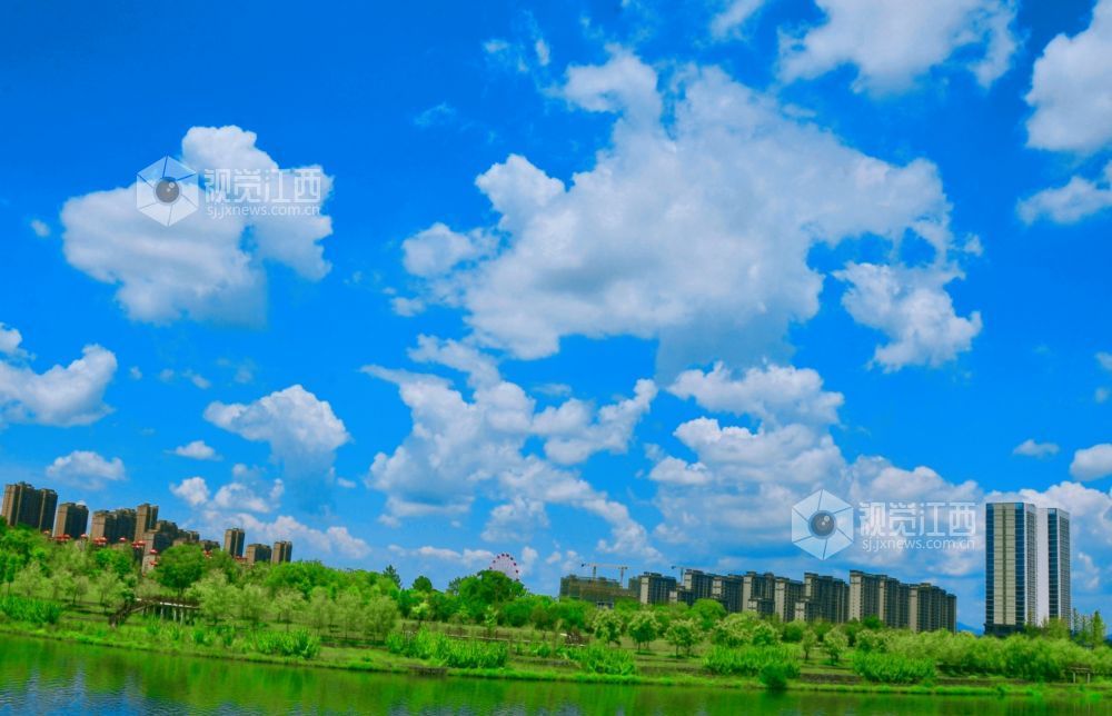 7月24日,江西省永新县迎来了一个碧空如洗的好天气,湛蓝色的天幕上,棉花糖般的云朵肆意舒展。