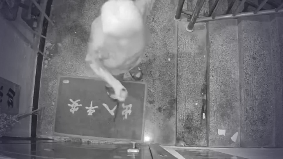 8旬老人深夜持菜刀砍邻居家门并砸毁监控摄像头，后者有家不敢回