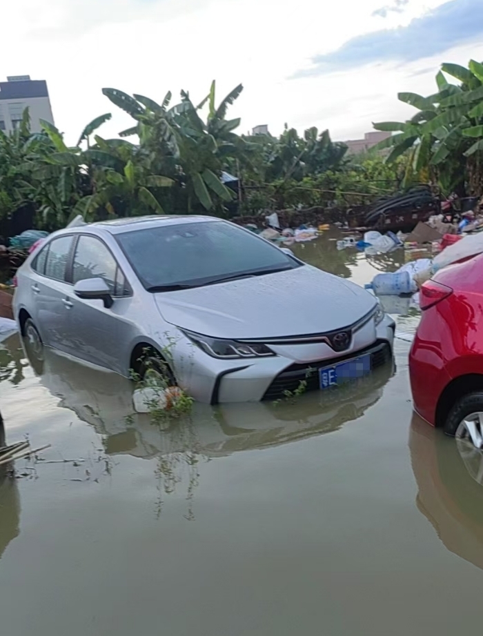 平安产险佛山分公司高效应对台风“韦帕”挑战