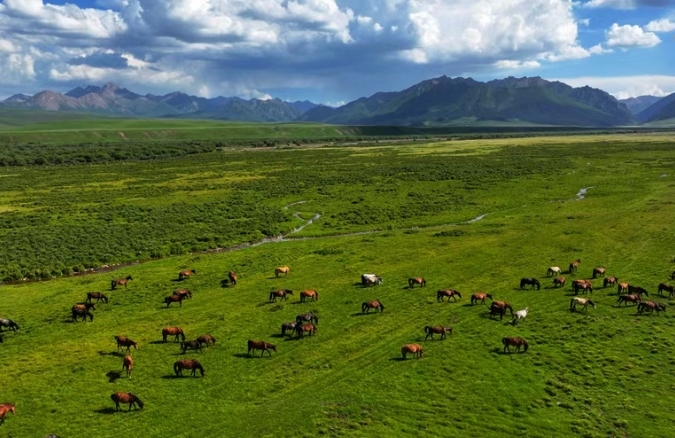 甘肃夏日消暑图鉴拿捏美食美景　谁懂这一口的含金量