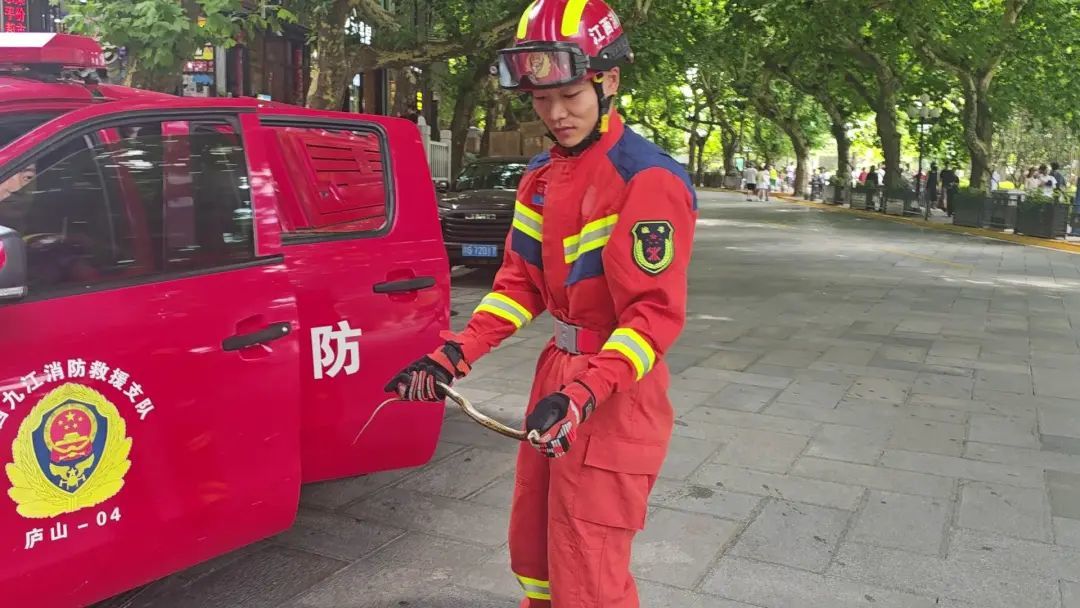 小路上逮捕的眼镜蛇