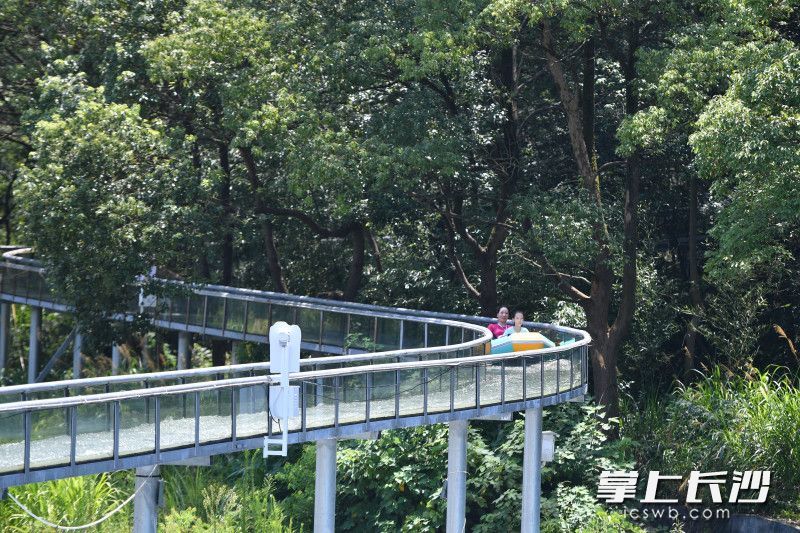 升级版的“空中漂流”是探险者的乐园。