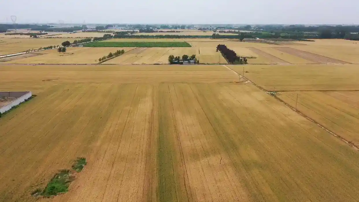 培省时事观 | 经济大省挑大梁：山东交出半年5.6%经济增速成绩单