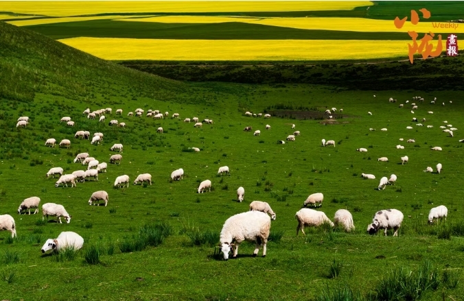 甘肃夏日消暑图鉴拿捏美食美景　谁懂这一口的含金量