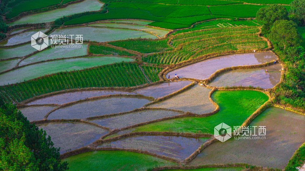 2025年7月15日在江西省吉安市峡江县覆箱峰拍摄的画面。