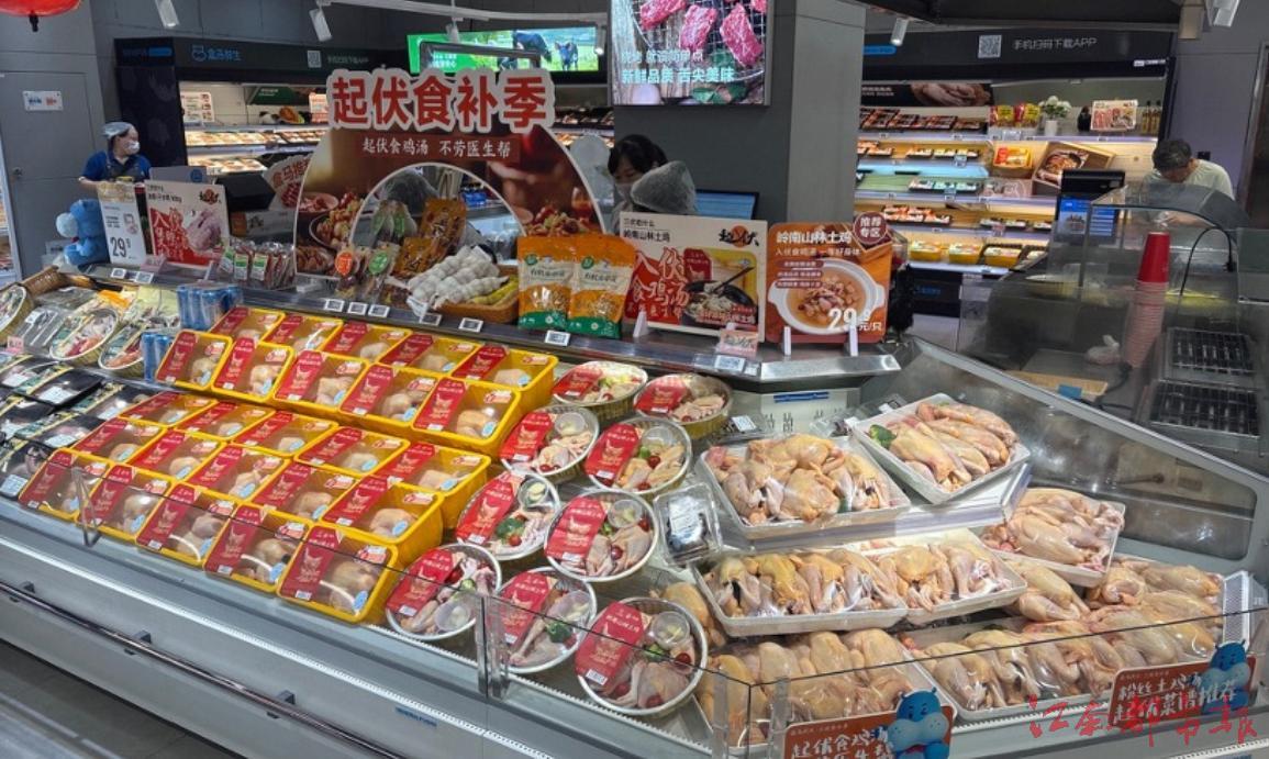 入伏吃雞還是煲鴨？夏季養生食品登上餐桌