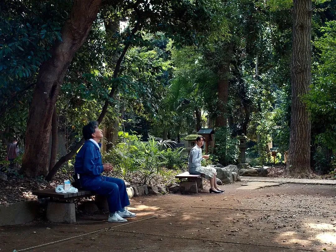 “树木啊，森林啊，都是甜口的良药。”
