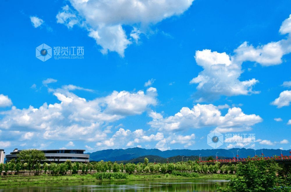 7月24日,江西省永新县迎来了一个碧空如洗的好天气,湛蓝色的天幕上,棉花糖般的云朵肆意舒展。