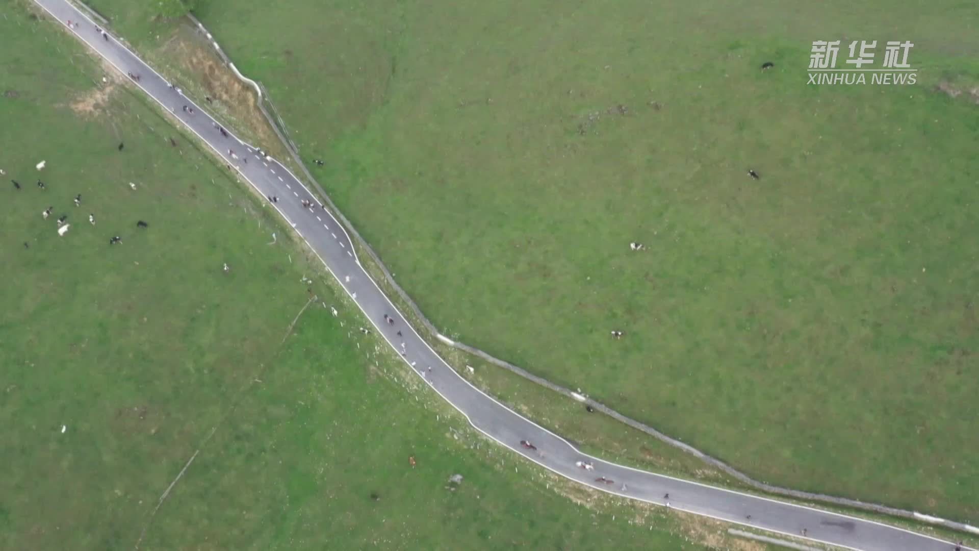 湖南城步：高山草原带来夏日清凉