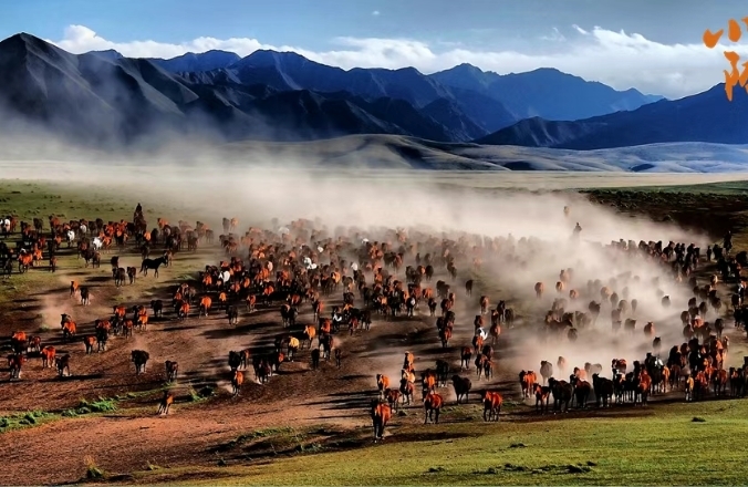 甘肃夏日消暑图鉴拿捏美食美景　谁懂这一口的含金量