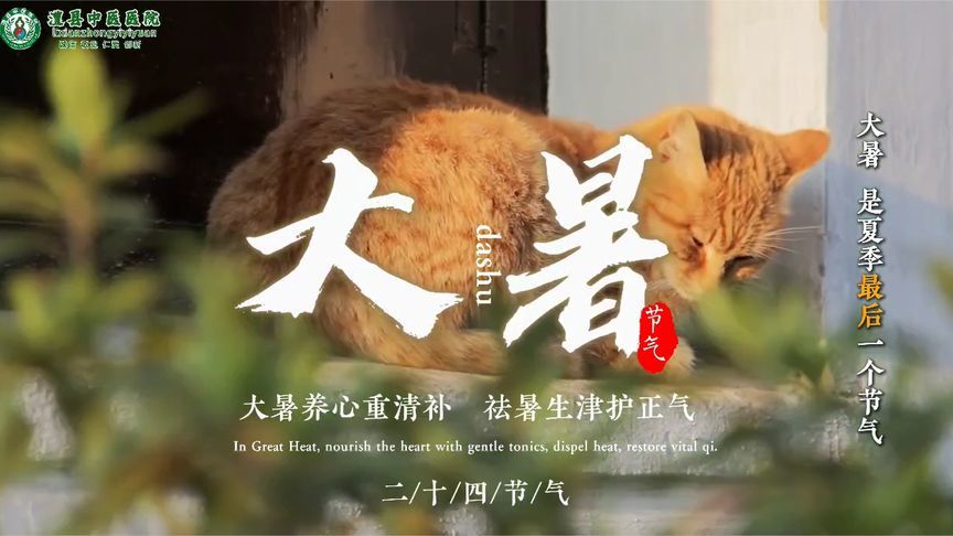 大暑至，盛夏浓！您的“大暑养生攻略”已送达