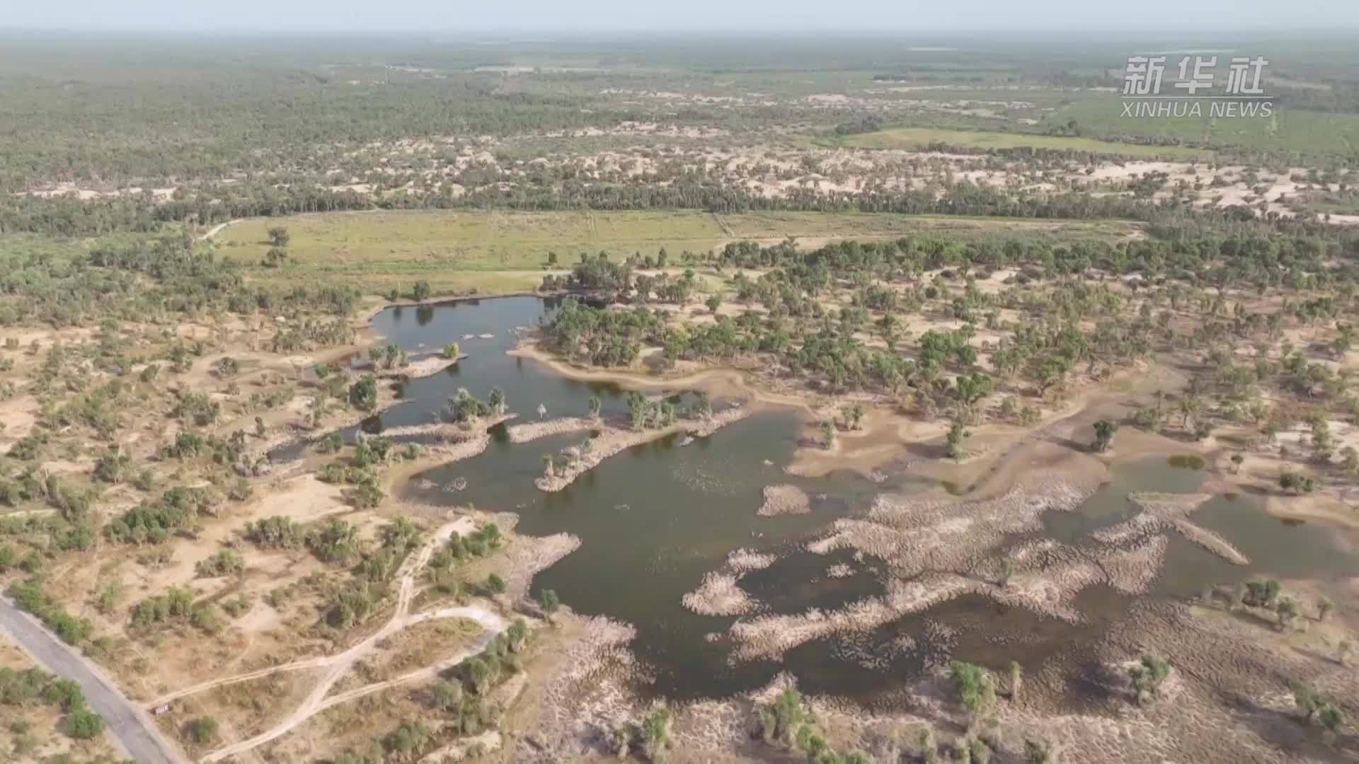 新疆塔里木河沿岸风光旖旎