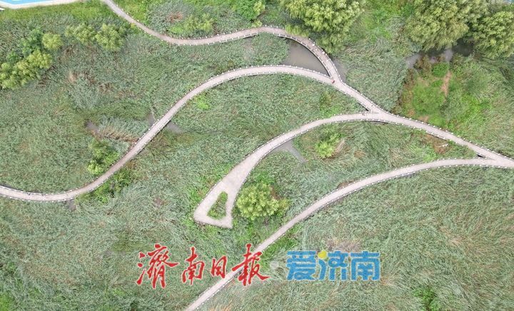 雨润泉城，龙鼎滨水公园碧波荡漾叠瀑重现