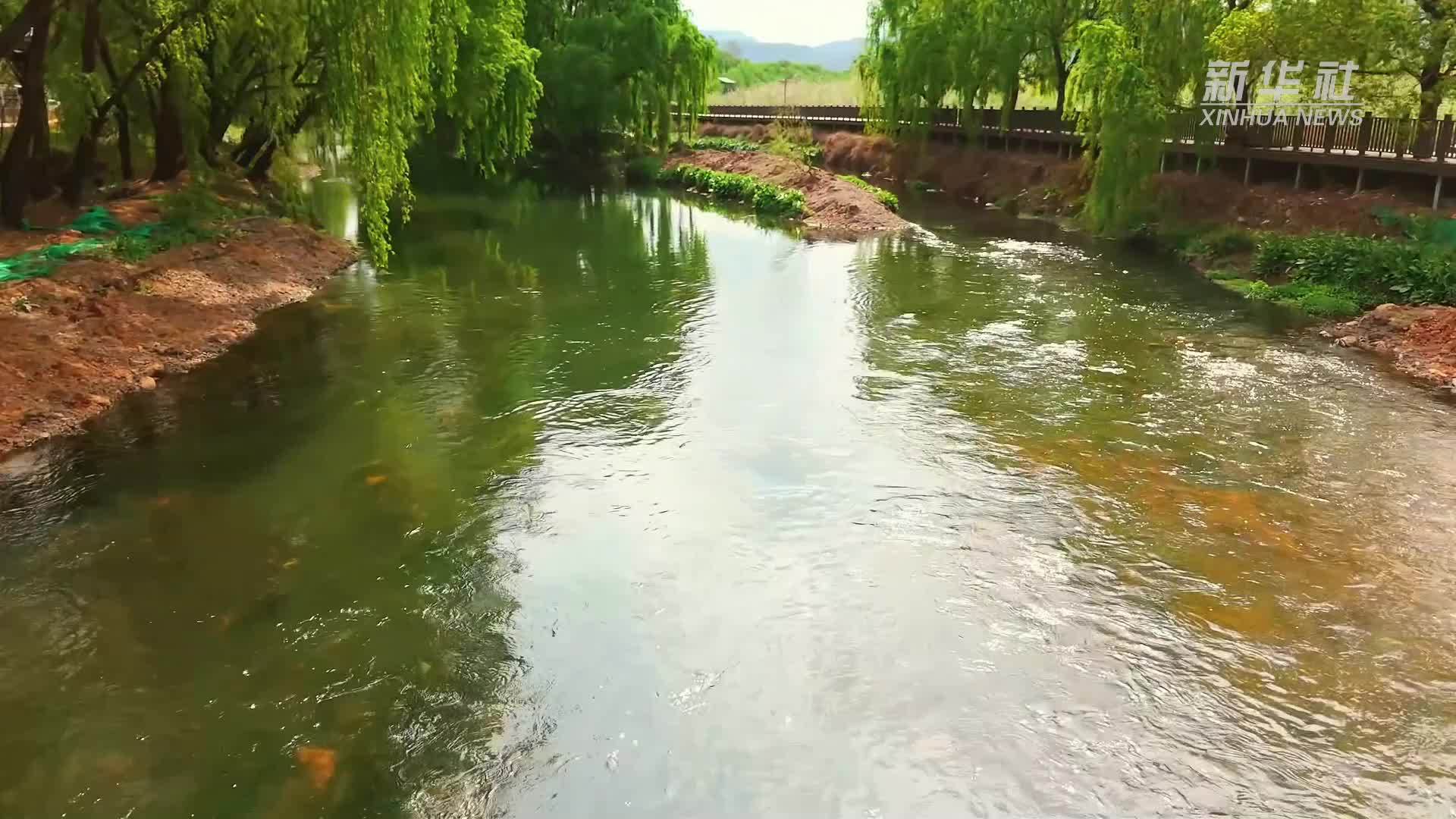 云南昭通：乡村“微度假”绘就振兴新图景