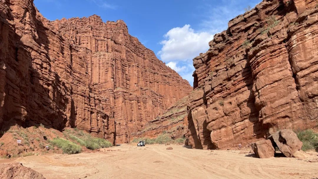 那个嘴毒的新疆女人,来自美丽的阿克苏