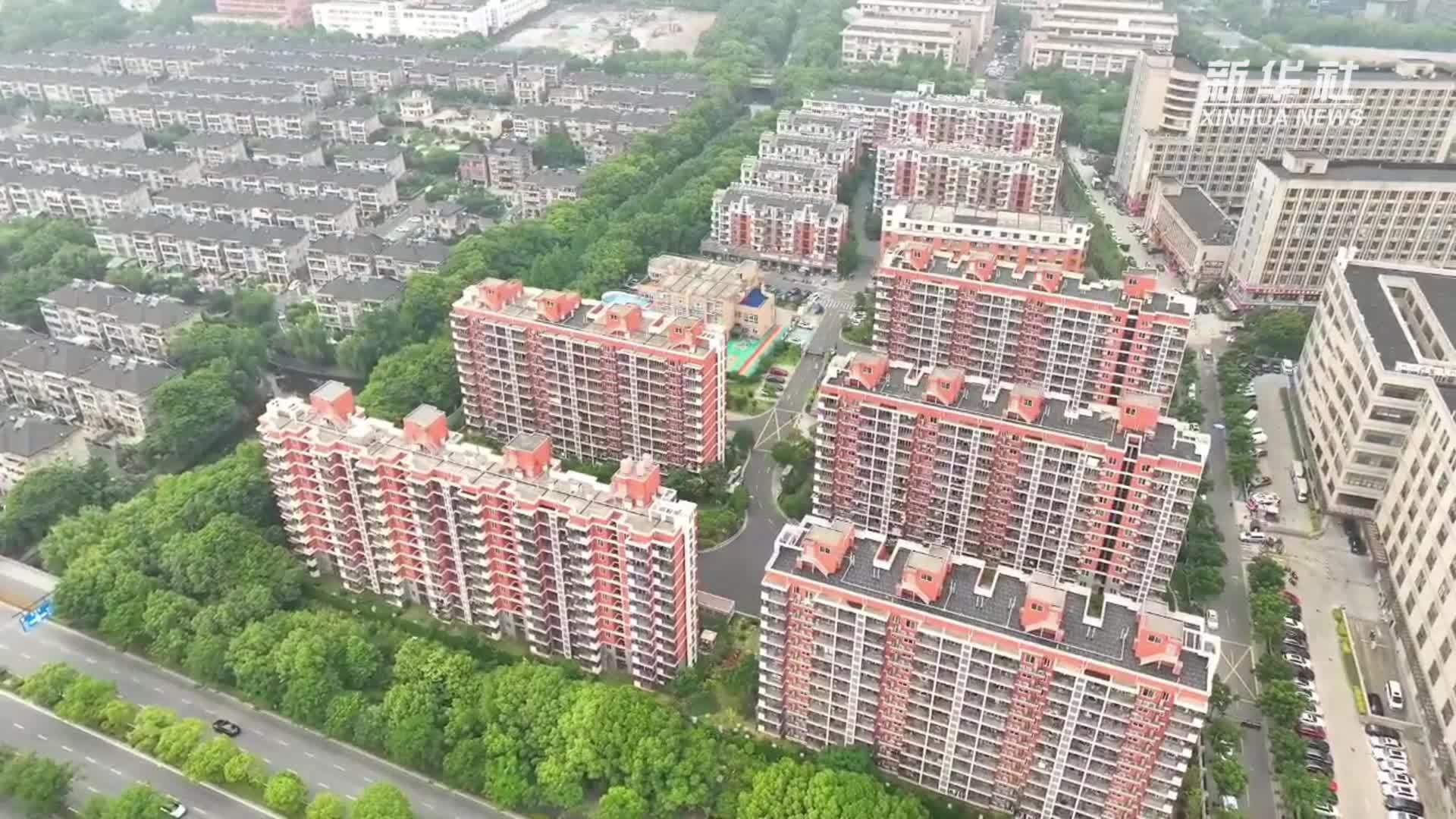 这个夏天，我在“党群”过暑假