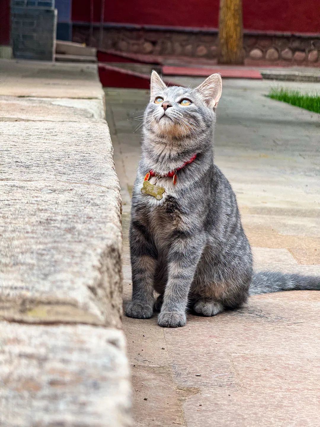 （摄影：康建明）