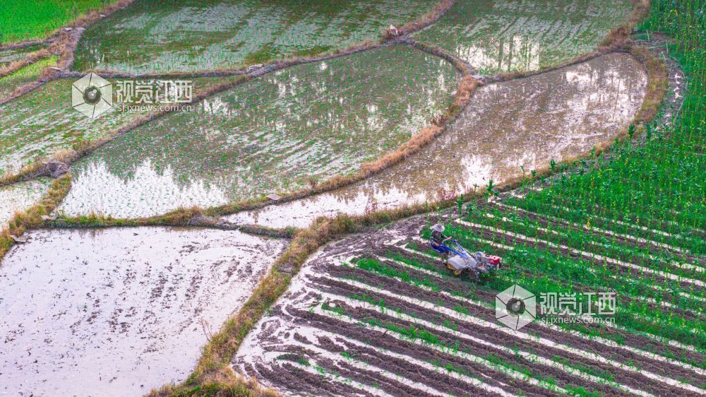 2025年7月15日在江西省吉安市峡江县覆箱峰拍摄的画面。