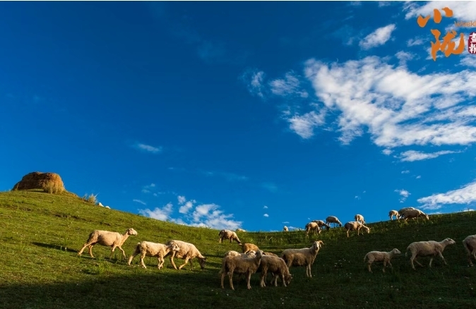 甘肃夏日消暑图鉴拿捏美食美景　谁懂这一口的含金量