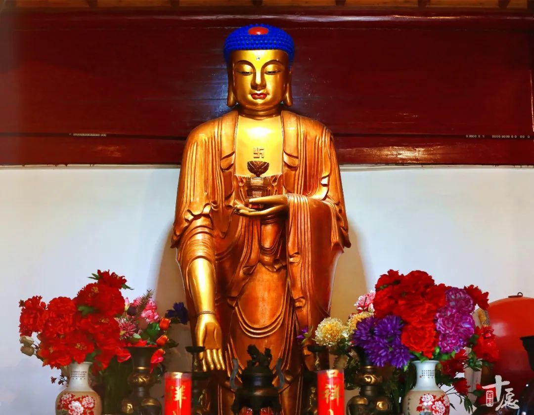 有了皈依证就万事大吉？聊聊皈依那些常见误区