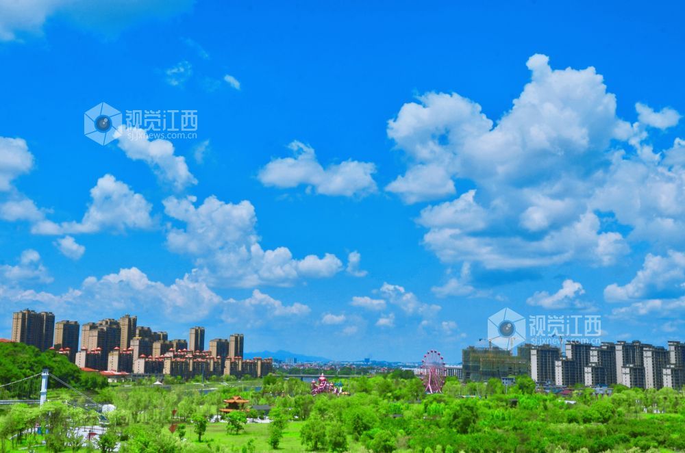 7月24日,江西省永新县迎来了一个碧空如洗的好天气,湛蓝色的天幕上,棉花糖般的云朵肆意舒展。