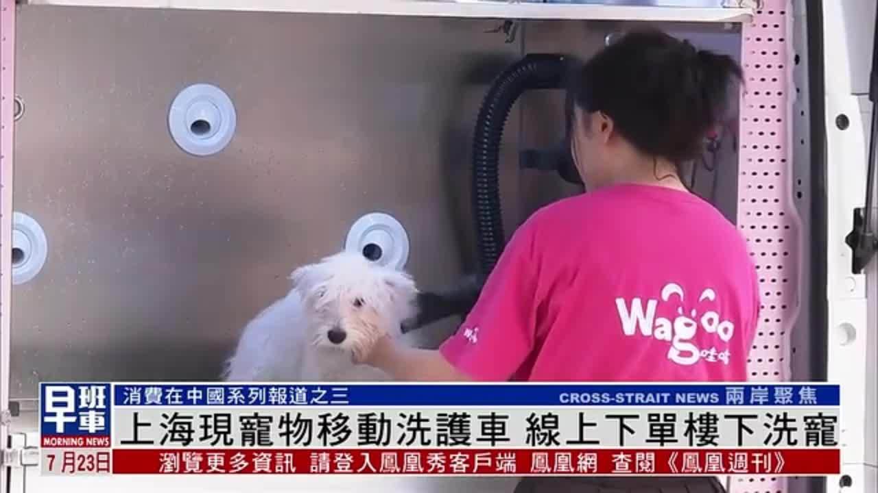 上海现宠物移动洗护车 线上下单楼下洗宠