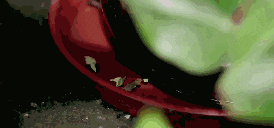 2.做好个人防护