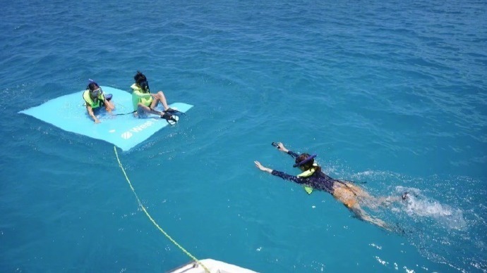 明星带娃过暑假，孙俪一家上山下海，董璇女儿跳舞惊艳，钟丽缇女儿似明星封面图