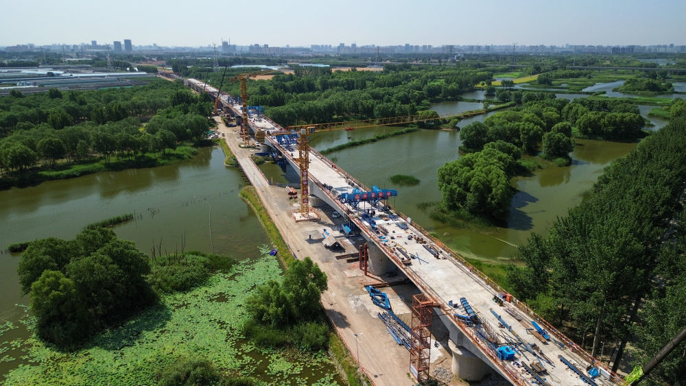 这是建设中的津潍高铁潍坊段（2025年6月12日摄，无人机照片）。新华社记者 徐速绘 摄