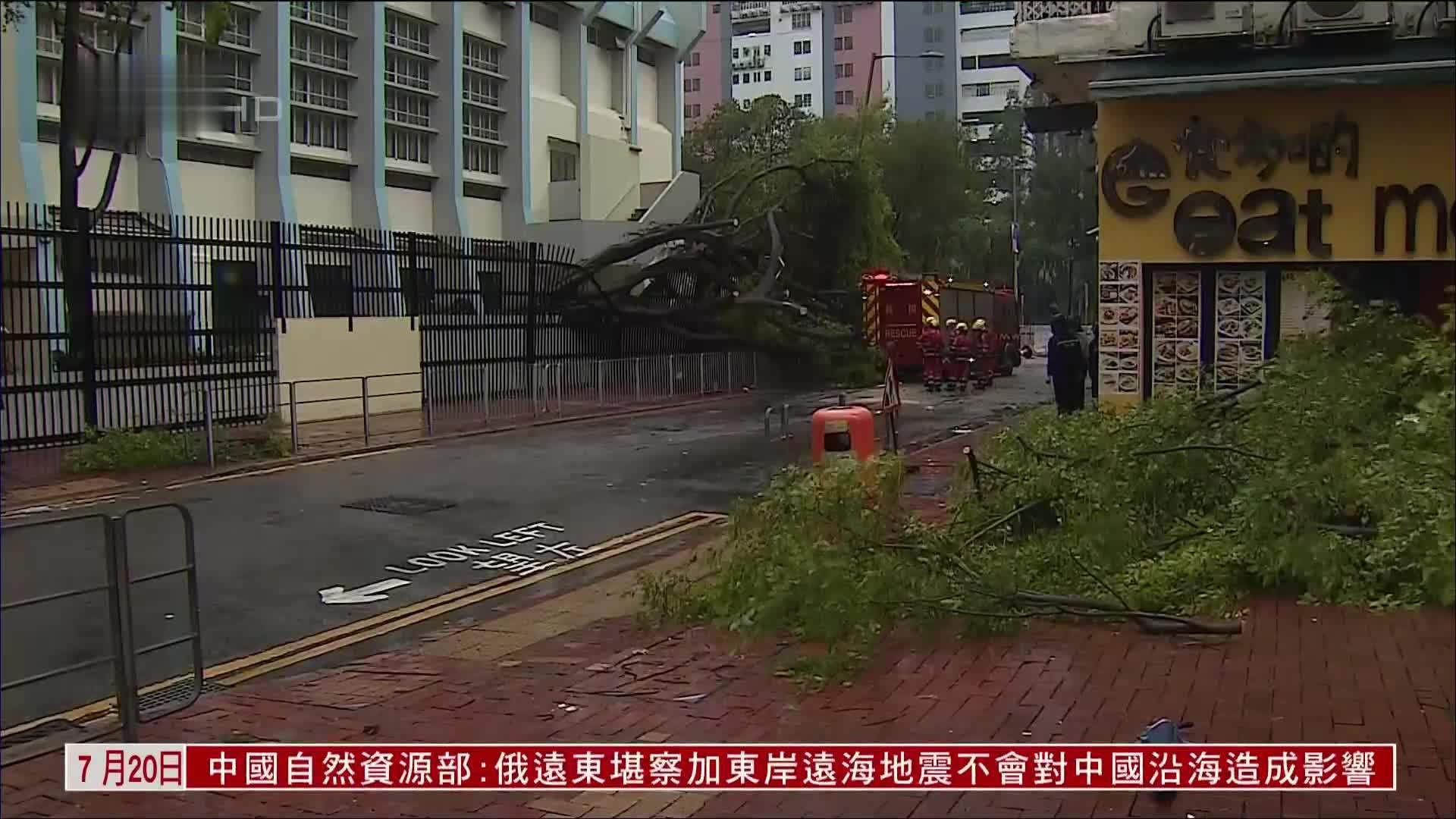 “韦帕”袭港风力强 连根拔树吹倒棚架