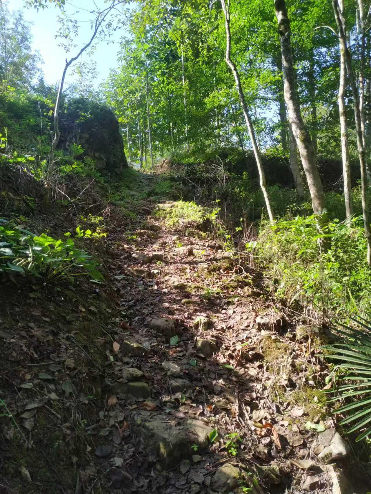 古关隘道路遗迹