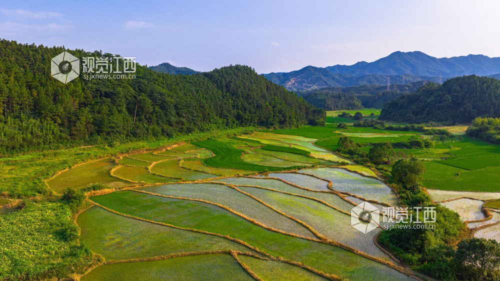 2025年7月15日在江西省吉安市峡江县覆箱峰拍摄的画面。