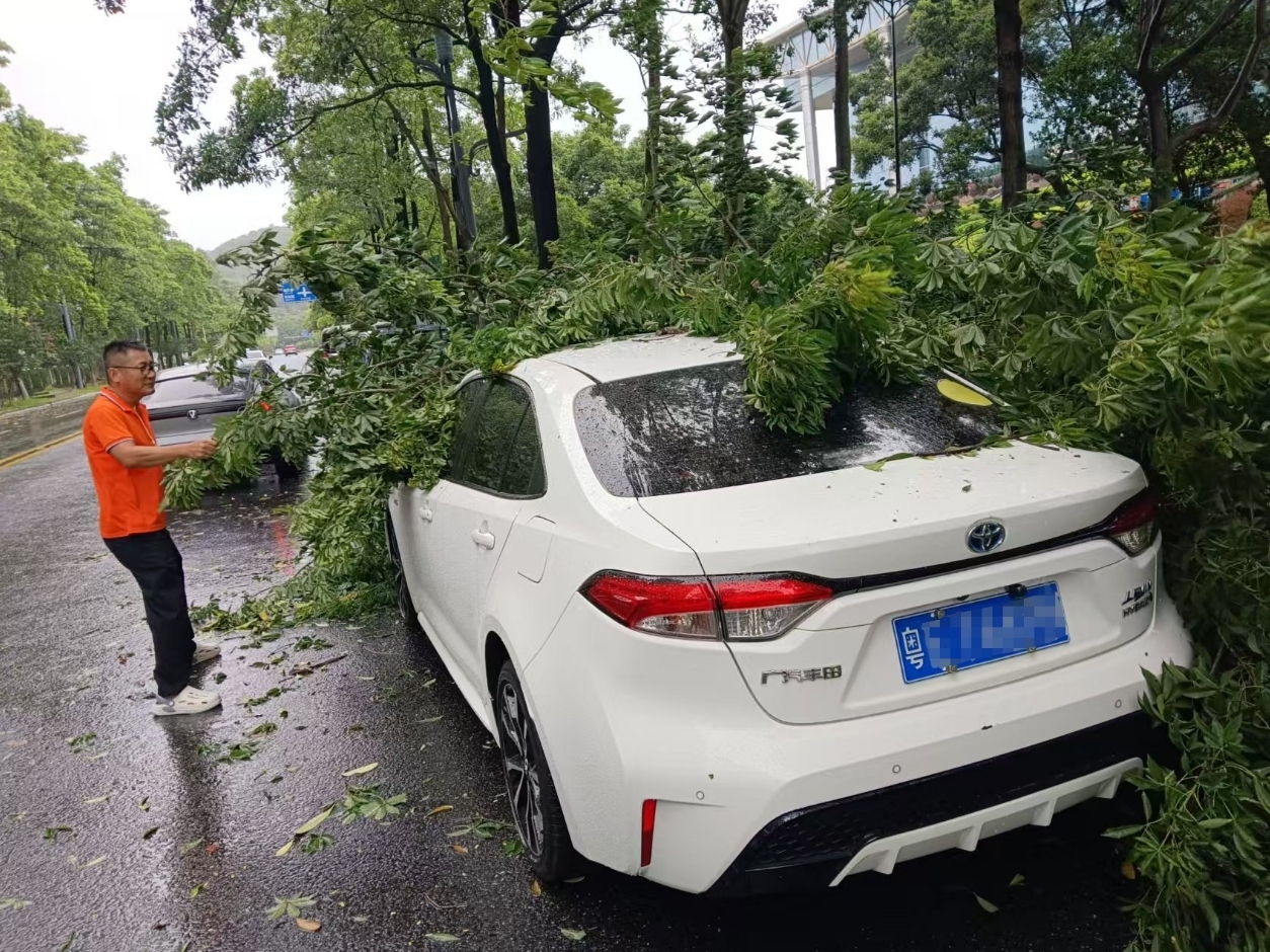 平安产险佛山分公司高效应对台风“韦帕”挑战