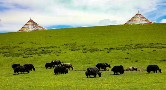 甘肃夏日消暑图鉴拿捏美食美景　谁懂这一口的含金量