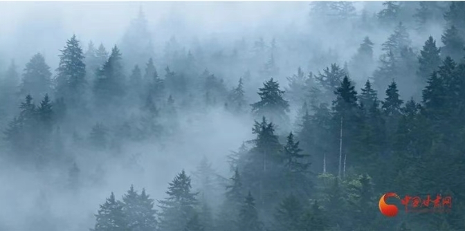 甘肃夏日消暑图鉴拿捏美食美景　谁懂这一口的含金量